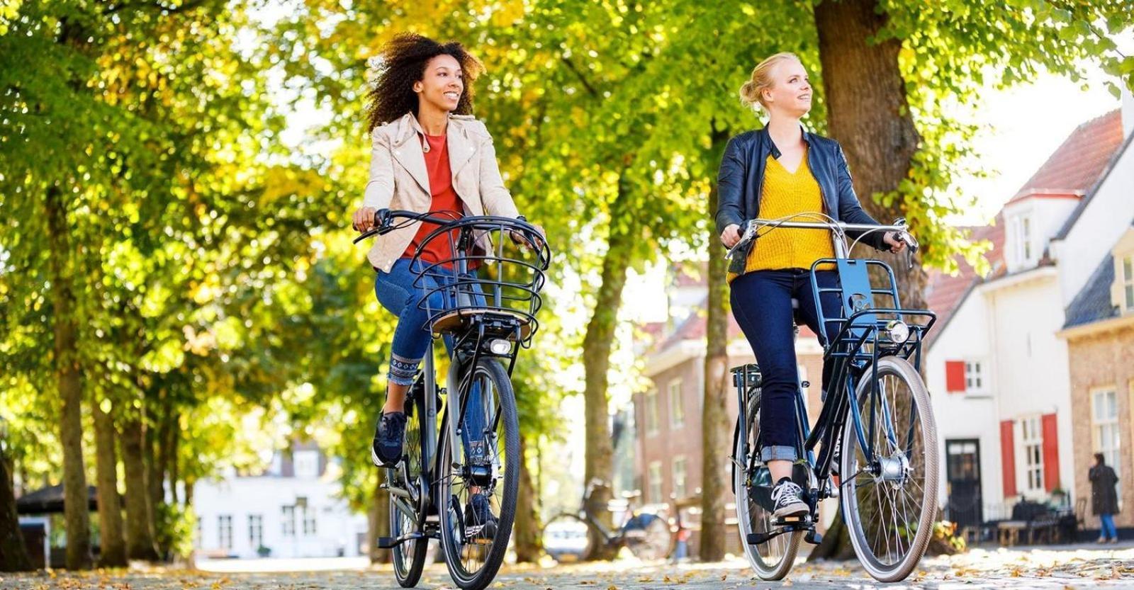 Bungalowpark Het Verscholen Dorp Ferienpark Harderwijk